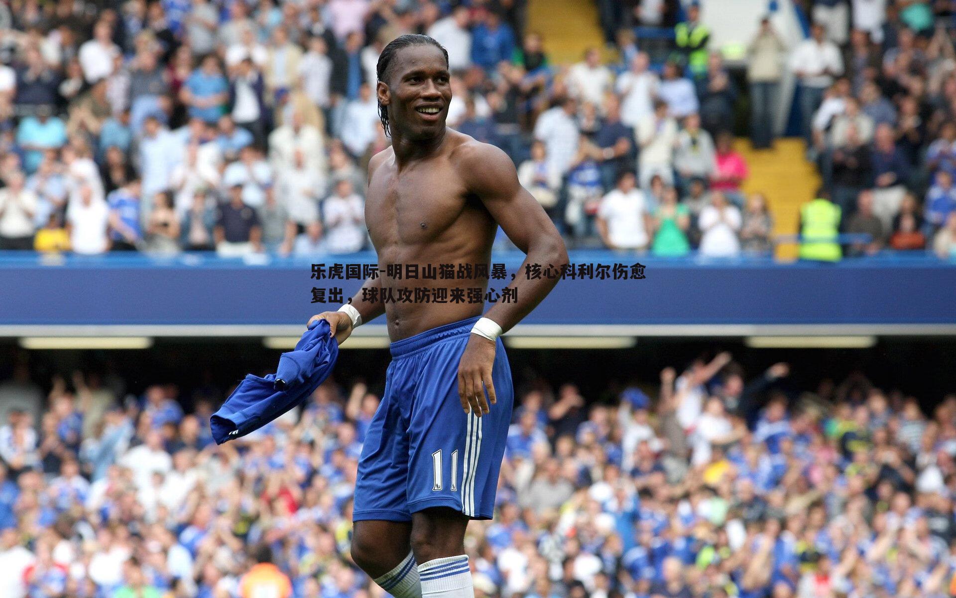 明日山猫战风暴，核心科利尔伤愈复出，球队攻防迎来强心剂